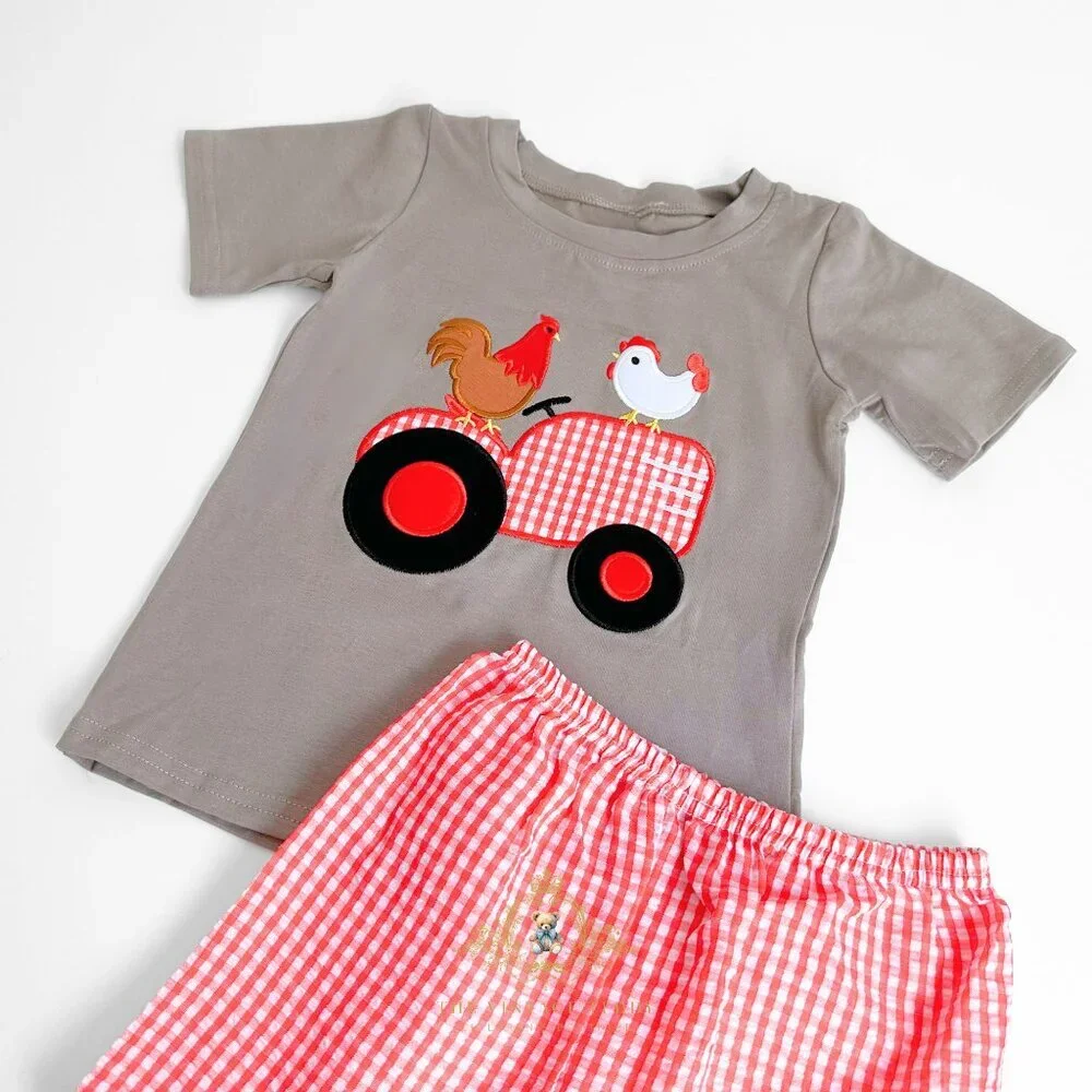 NWT Cute Boys T-shirt & Shorts Matching Set Embroidered Gingham Little Farm 2T